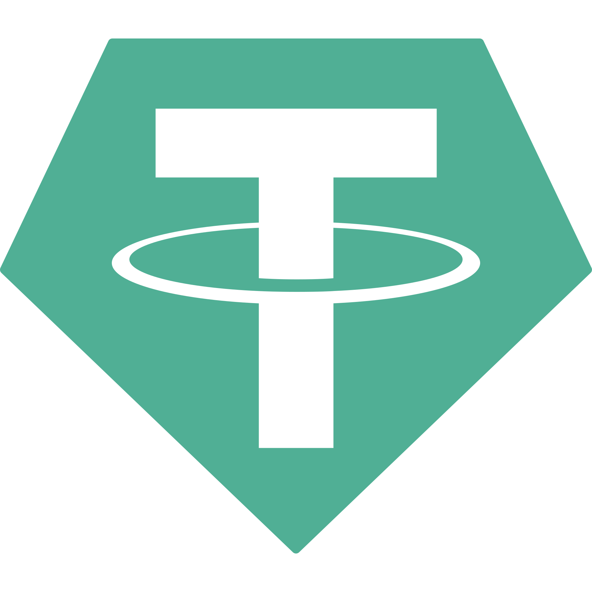 payment icon